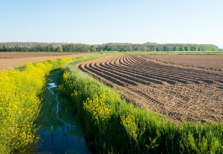 Footo eines kleinen Baches entlang einer Ackerfläche