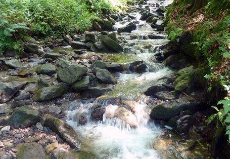 Foto eines Gebirgsbaches