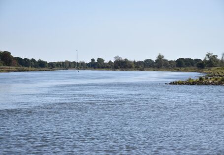 Ein Foto des Flusses Oder