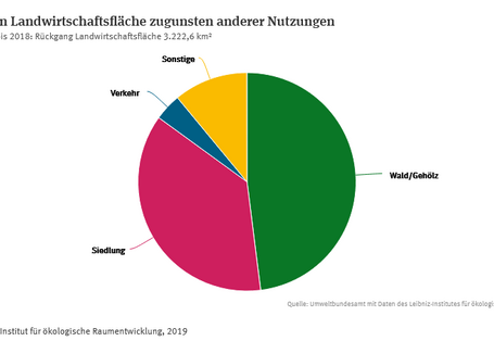 Das Tortendiagramm zeigt den Rückgang von Landwirtschaftsfläche zugunsten anderer Nutzungen 2013-2018. 48 Prozent Anteil Wald/Gehölz, 37 Prozent Anteil Siedlung, 4 Prozent Anteil Verkehr, 11 Prozent sonstige