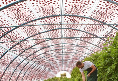 Ein Gewächshaus bezogen mit der innovativen Folie.