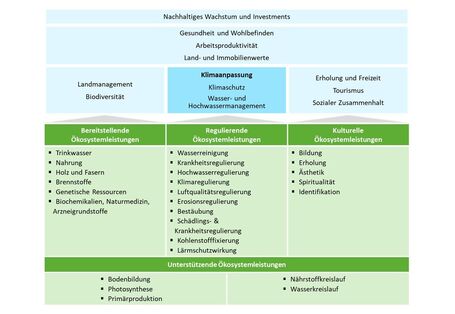 Das Bild zeigt die Zuordnung von Nutzengruppen grüner Infrastruktur zum Ansatz der Ökosystemleistungen. 