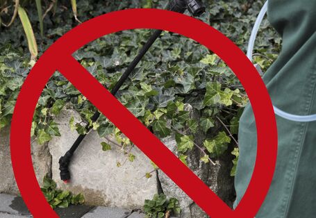 Bild mit Spritze auf Bürgersteig und einem roten Verbotszeichen darüber 