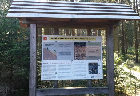 Infotafel "Waldboden: Die Welt zu unseren Füßen"