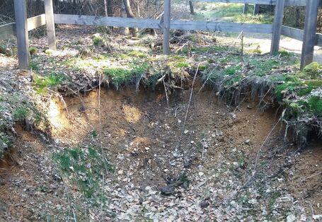 Für diese Region typische Braunerde