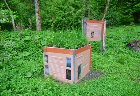 Kubus mit einem Grundwasserboden (Gley)