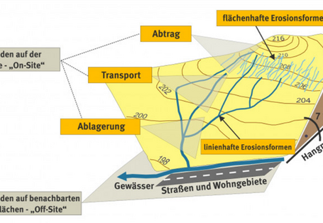 Abbildung 1: Schematische Darstellung des Erosionsgeschehens bei Wassererosion (On-site Erosionsformen und Off-site Ablagerung) 