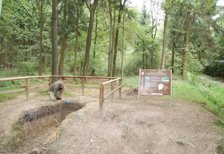 begehbares Bodenprofil Waldboden