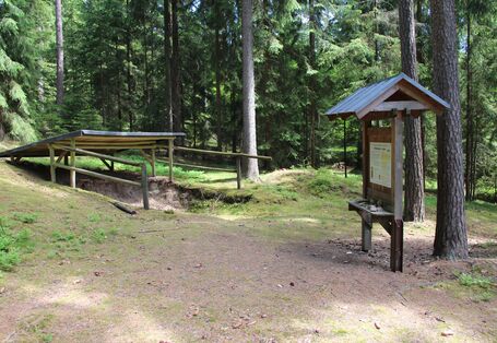 Bodenstation auf dem Walderlebnisweg Glasberg bei Waldsassen