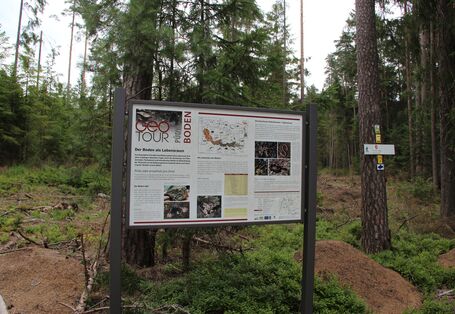 Tafelstandort im Heusterzbühl bei Mitterteich