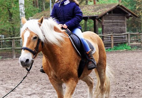 Kind reitet auf dem Pferd