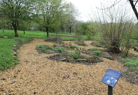 Kräutergarten in der Station Natur und Umwelt