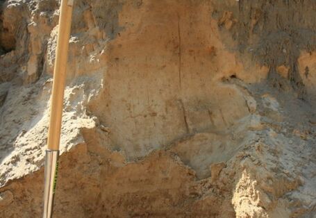 Profil Braunerde, Station 4 Klausdorfer Tongruben