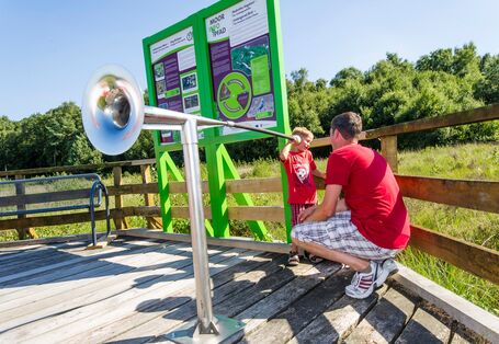 Infotafel zum MoorInfoPfad Esterwegen
