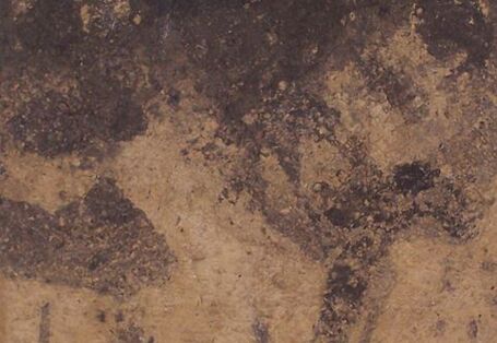 Lackprofil einer Parabraunerde über einer fossilen Schwarzerde