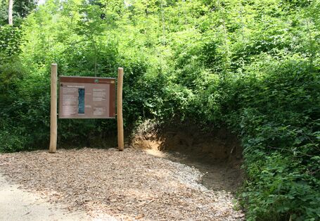 Station mit Bodenprofil und Erläuterungstafel