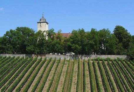 Die Landschaft an der Station Hallburg