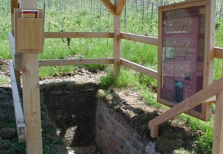 Die überdachte Bodenstation an der Station Handthal