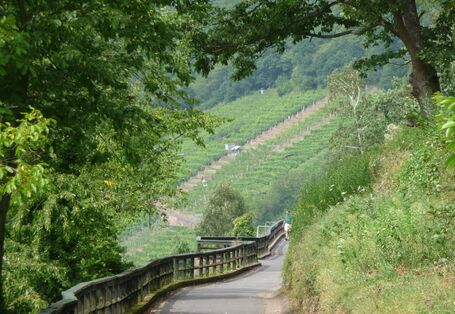 Landschaft an der Station Klingenberg