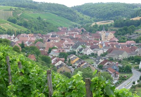 Die Landschaft an der Station Retzstadt