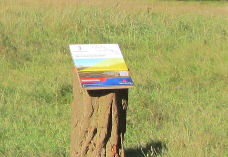 Station 3: "Wo ist denn hier die Düne?"