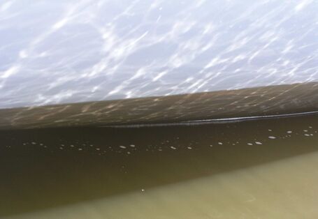 Hamburg-Außenalster, Segelboot Typ Skippi 650, Biofilm nach 4 Wochen