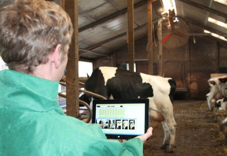 Foto: Person im Kuhstall mit einem Tablet auf dem Diagramme angezeigt werden.
