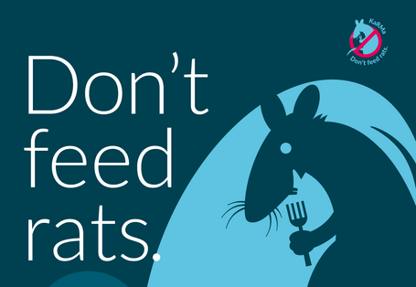 Don't feed rats