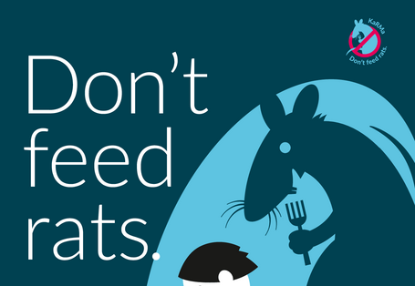 Don't feed rats
