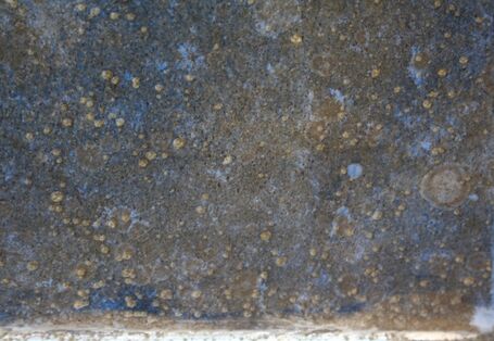 Erstinspektion, Nahansicht Bewuchsgemeinschaft zwischen Wasserlinie und Kiel mit Seepocken, ...