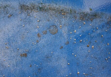 Erstinspektion, Nahansicht der verbliebenen Seepocken nach dem Hochdruckwaschen