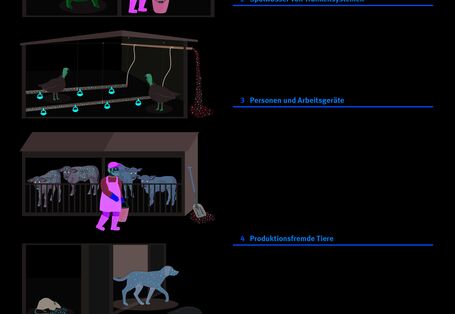 Illustrierende Zeichnung von fünf Verschleppungsprozessen von Tierarzneimitteln im Stall. Text der Grafik: Sorgfalt und Hygiene helfen, den direkten Eintrag von Tierarzneimitteln in die Umwelt zu minimieren. Verschleppungen von Tierarzneimitteln sind eine unnötige Verschwendung, können die Gesundheit von Anwendern gefährden und sind ohne therapeutischen Nutzen für die Tiere. Verschleppungen von Antibiotika können zur Bildung von Resistenzen bei Mensch, Tier und in der Umwelt beitragen. 1. Stallluft: Beim Mi