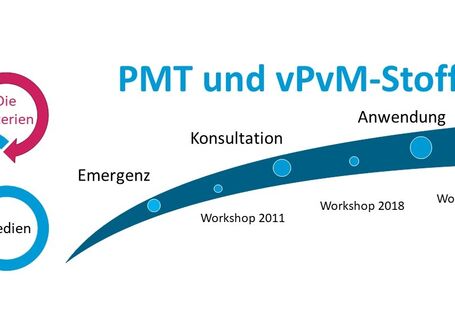 Die abgestimmten PMT/vPvM-Kriterien nach Öffentlicher Konsultation