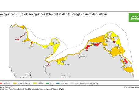 Die Karte zeigt den ökologischen Zustand der Küstengewässer der Ostsee 2021. Dieser wurde zu gleichen Teilen mit „mäßig“ bis „unbefriedigend“ und „schlecht“ bewertet. Kein Wasserkörper erreicht den „guten Zustand“.