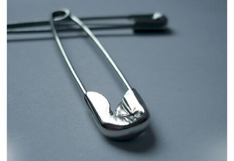 Cover von "Anpassung an den Klimawandel: Versicherungen" mit einem Foto von zwei Sicherheitsnadeln