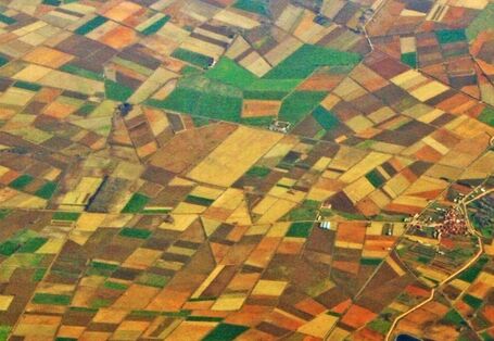 Bird's eye view of geometrical arranged, colourful fields and settlements