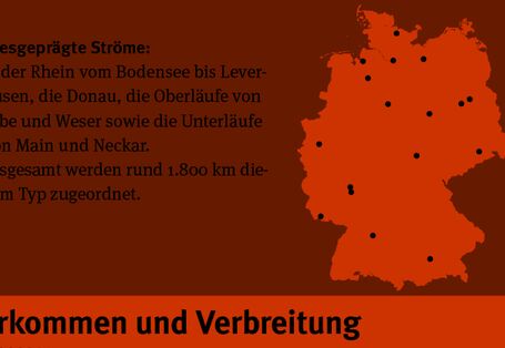 Eine Karte die das Vorkommen kiesgeprägter Ströme in Deutschland aufzeigt.