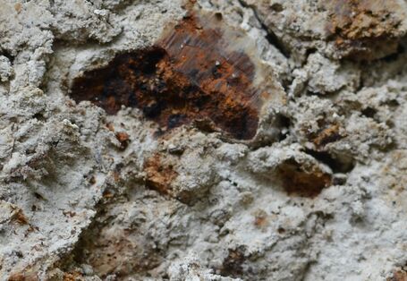 Eisen und Mangananreicherungen in einer Bodenschicht