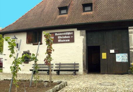 Auf dem Foto ist das Alte Gebäude des Museums zu sehen mit Weinreben und Sitzbänken.