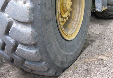 Photo of tyres in a forest.