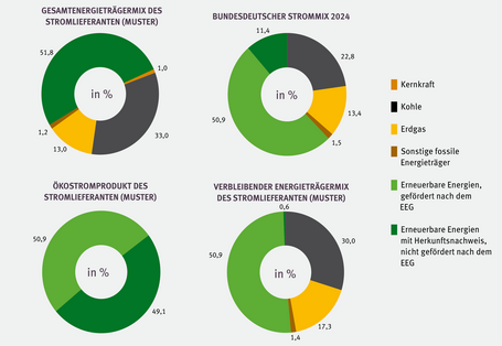Die Grafik zeigt vier Kreisdiagramme mit verschiedenen Arten von Strommixen