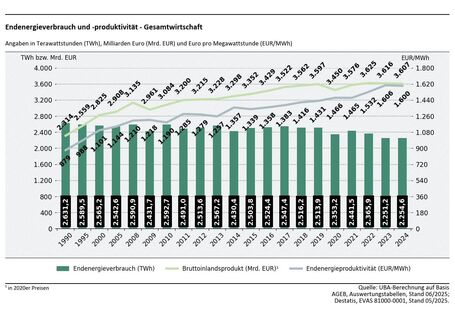 In der Abbildung ist ein Balkendiagramm dargestellt, welches den jährlichen Endenergieverbrauch zwischen 1990 und 2024 darstellt. Darüber hinaus sind Endenergieproduktivität und Bruttoinlandsprodukt darüber als Liniendiagramm abgebildet. Es ist ersichtlich, dass Endenergieproduktivität stetig steigt, ebenso das Bruttoinlandsprodukt, welches jedoch einen sichtbaren Einbruch im Jahr 2009 und 2020 aufzeigt.