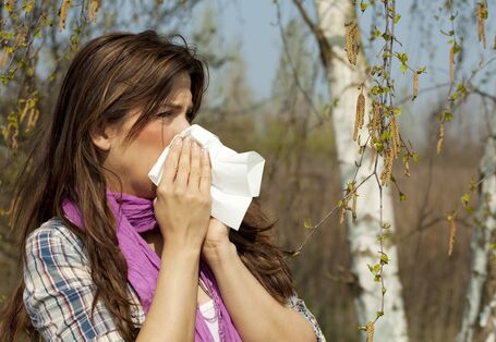 Frau schneuzt sich vor einer blühenden Birke die Nase