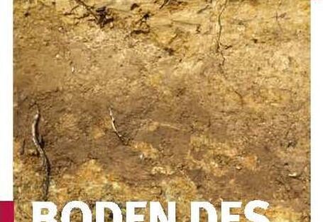Vorderseite des Faltblatts "Boden des Jahres 2014 Weinbergsboden" mit einem Foto eines vertikalen Schnitts durch einen Boden, es sind verschiedene Horizonte zu sehen