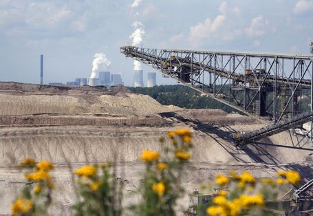 Tagebau mit Förderanlage, im Hintergrund ein Kraftwerk, im Fordergrund gelb blühender Rainfarn