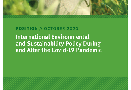 Cover of the Position Paper "International Environmental and Sustainability Policy During and After the Covid-19 Pandemic" from the German Environment Agency, as at October 2020
