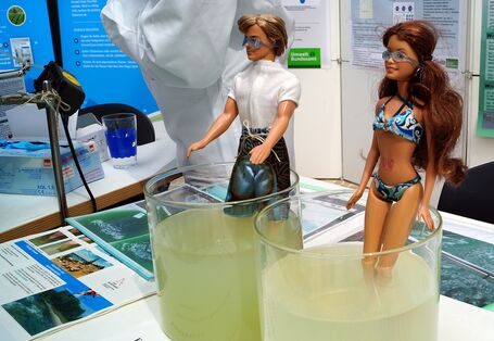 an einem Informationsstand zu Badegewässern stehen eine männliche und eine weibliche Puppe in Badekleidung knietief in einem Gefäß mit unterschiedlich grünlich-trübem Wasser
