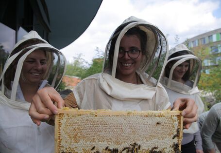 eine junge Frau in Imkerschutzkleidung hält einen Holtzahmen mit Bienenwaben, die mit Bienen besetzt sind.