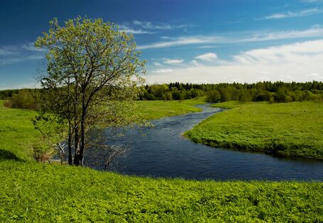Flussbiegung in einer Landschaft aus Wiesen, Feldern und Wäldern, an der Flussbiegung steht ein Baum