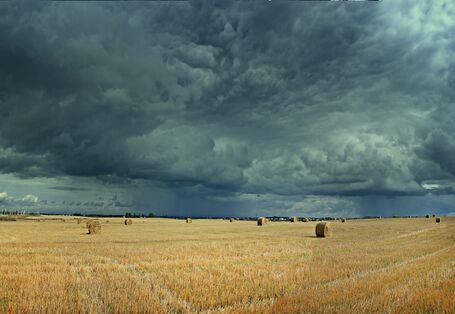 abgeerntetes Getreidefeld mit gelben Stoppeln und Strohballen. Am Himmel türmen sich bedrohlich dunkle und niedrig hängende Wolken.
